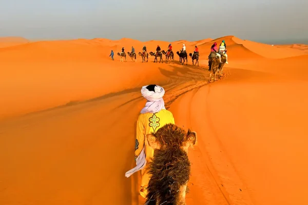 Private Desert Tours
