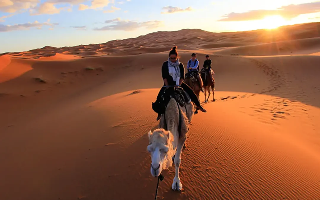 4 Days Marrakech To Fes Desert Tour
