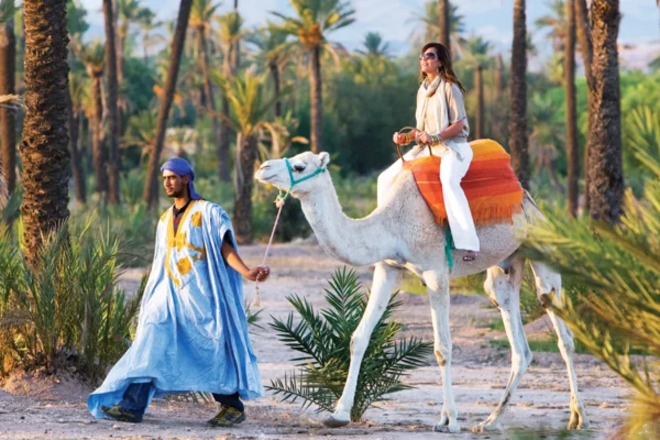 Marrakech Camel Tour