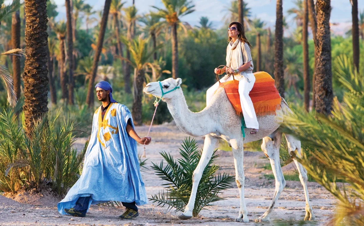Marrakech Camel Tour Marrakech Camel Tour